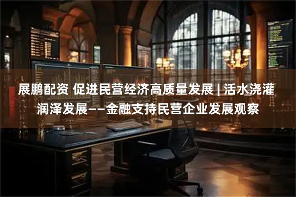展鹏配资 促进民营经济高质量发展 | 活水浇灌 润泽发展——金融支持民营企业发展观察