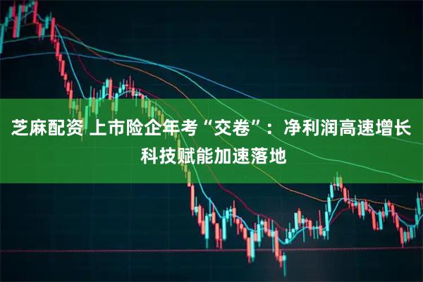 芝麻配资 上市险企年考“交卷”：净利润高速增长 科技赋能加速落地