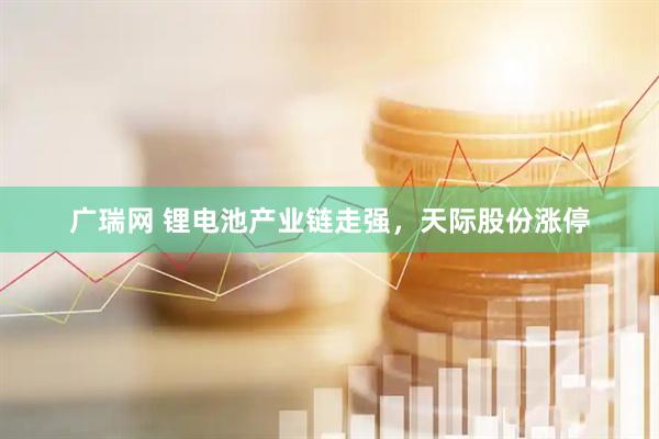 广瑞网 锂电池产业链走强，天际股份涨停