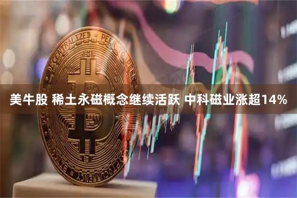 美牛股 稀土永磁概念继续活跃 中科磁业涨超14%