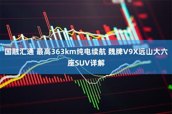 国融汇通 最高363km纯电续航 魏牌V9X远山大六座SUV详解